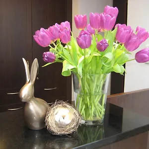 4* Hotel Wohlfuehl-hotel Neu